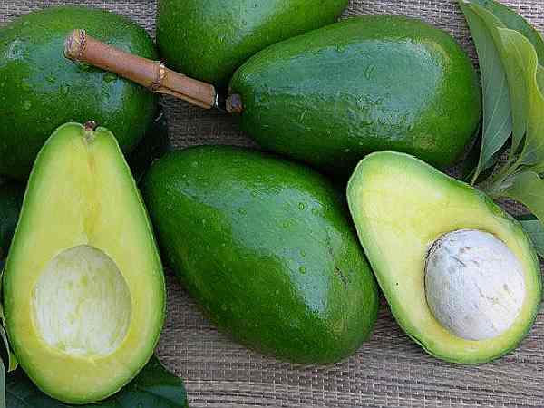 свойства авокадо